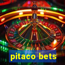 pitaco bets